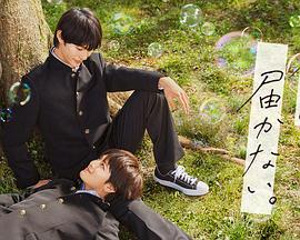 高清换脸视频海报剧照